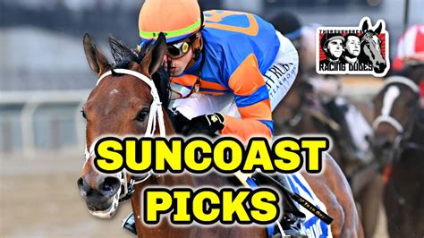 Suncoast Stakes Predictions, Odds, Picks (Tampa Bay Downs).